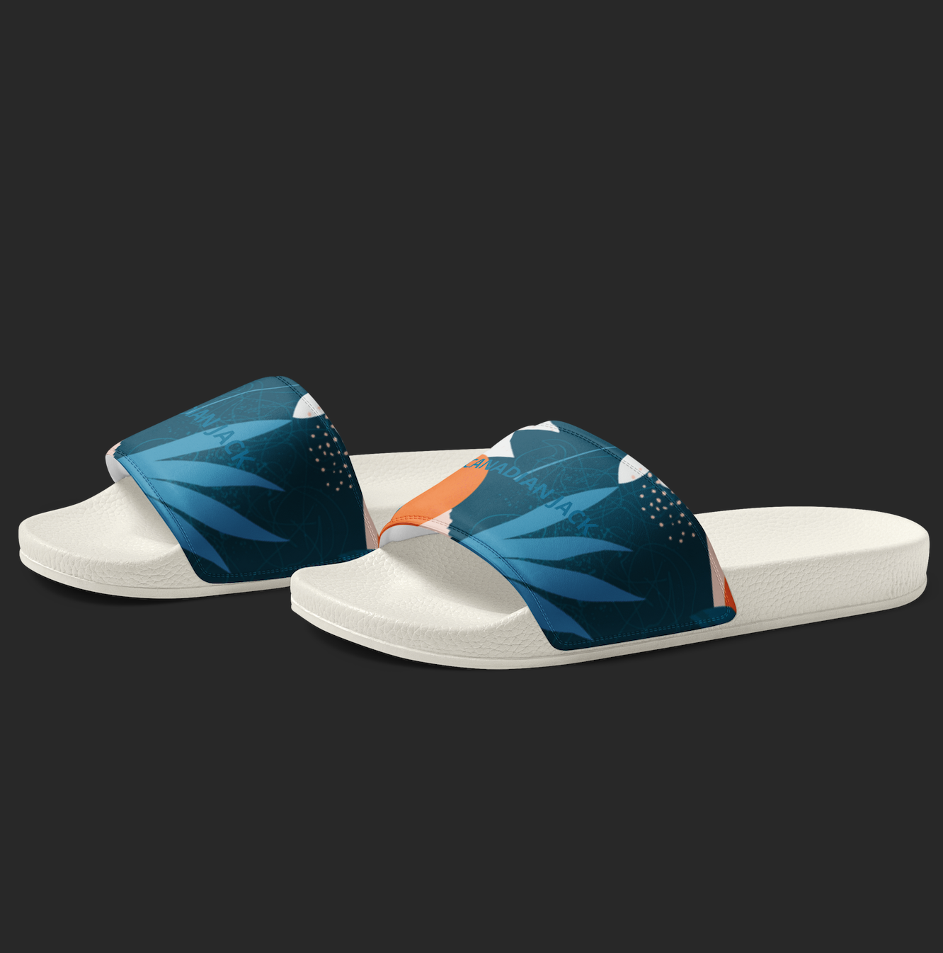 THE LAGOON SLIDES